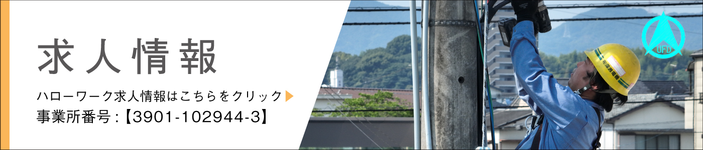 有限会社深瀬電機 求人情報